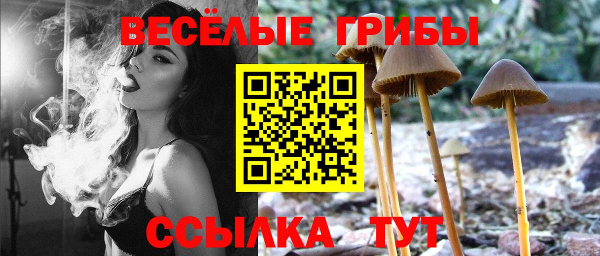 Галлюциногенные грибы MAGIC MUSHROOMS Комсомольск-на-Амуре