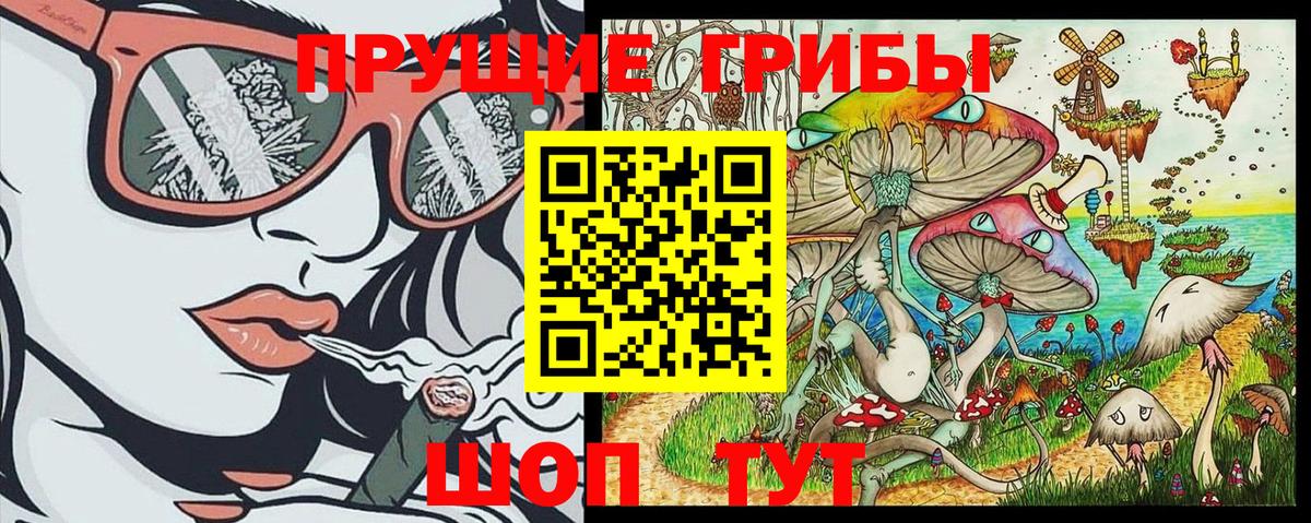 Псилоцибиновые грибы Cubensis  Галлюциногенные грибы Psilocybe  Комсомольск-на-Амуре  Вход с VPN 